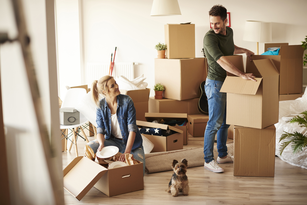 A happy couple and a dog, in a room full of moving boxes, while following directions from a moving checklist.